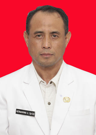 Dr. dr. Hermawan Udiyanto, Sp.OG(K)-Onk